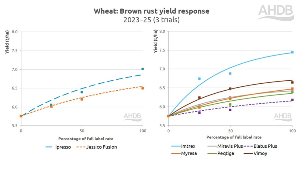 Wheat brown rust yield response to fungicides chart 2023–25.